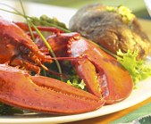 Le Canard French Cuisine Restaurant Johannesburg South Africa